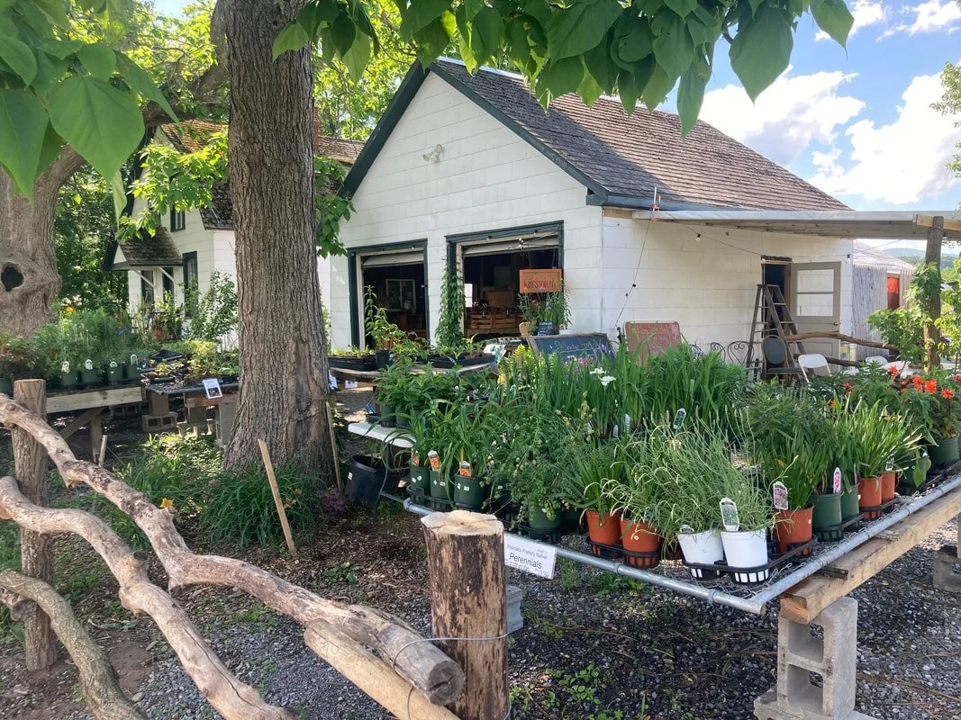 A small white building with an open garage door, surrounded by greenery and potted plants for sale on a raised platform. There are trees and a porch with chairs to the right, and the sky is partly cloudy.