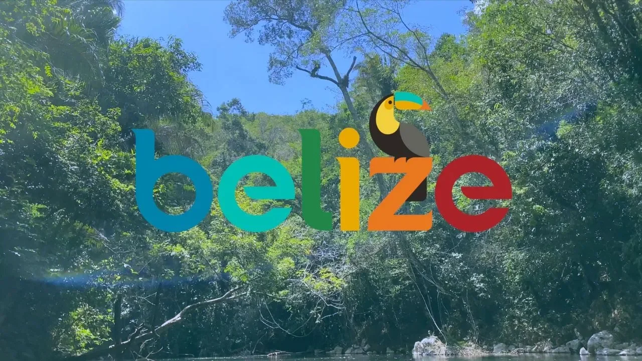 maxresdefault.webp
