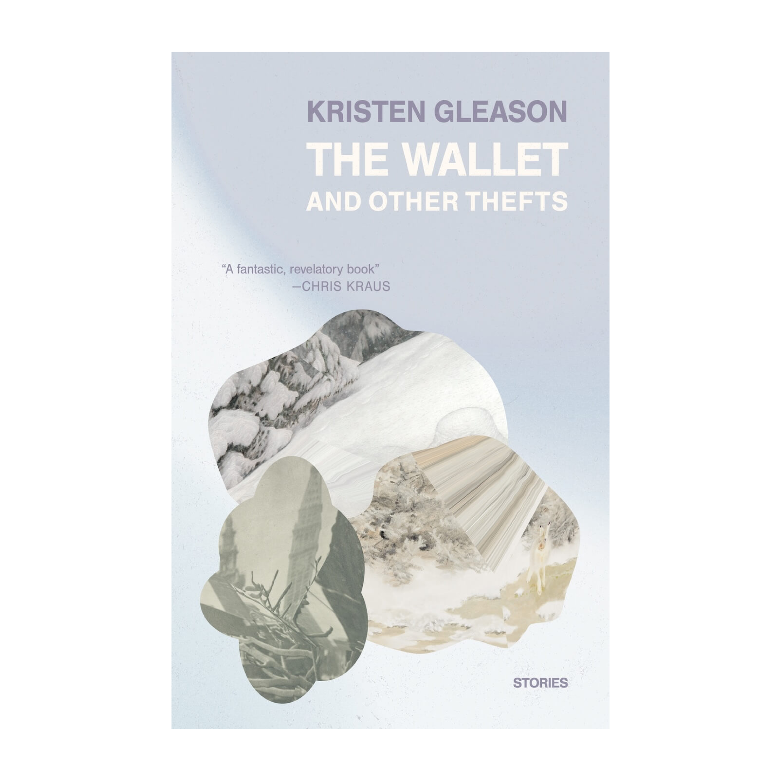Strange Details Accumulate: On Kristen Gleason’s /The Wallet and Other Thefts/