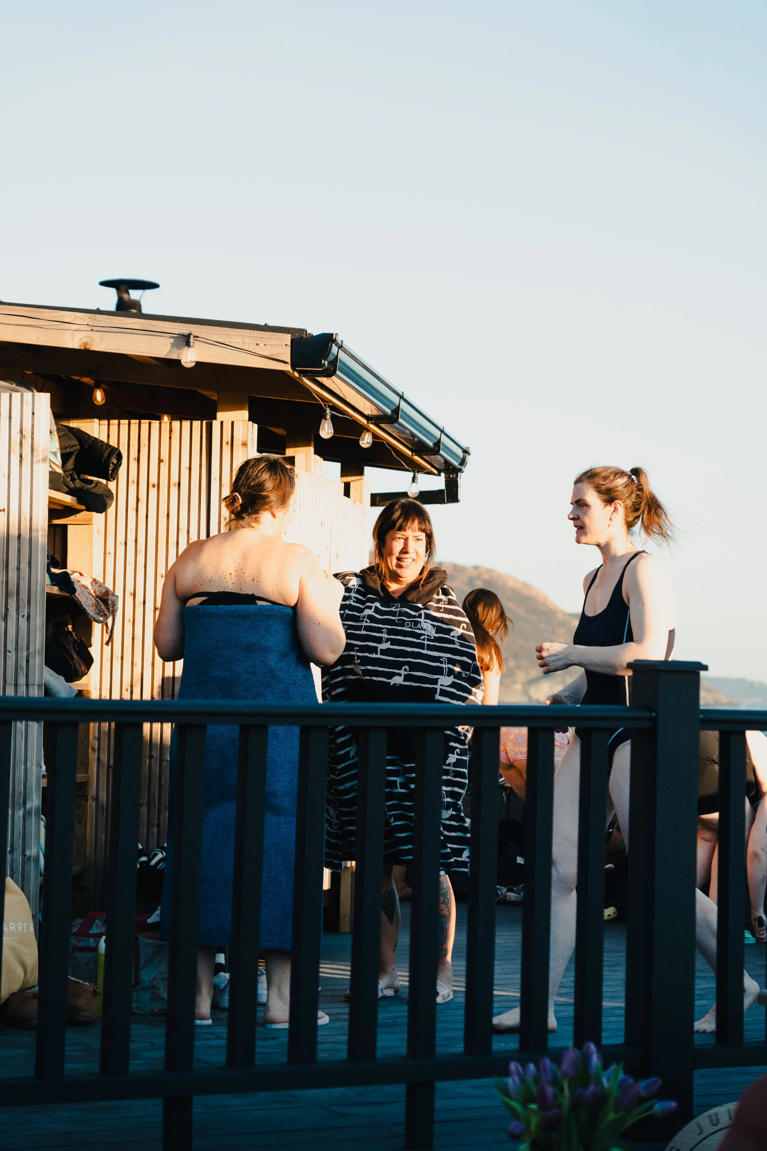 Greystones Sauna