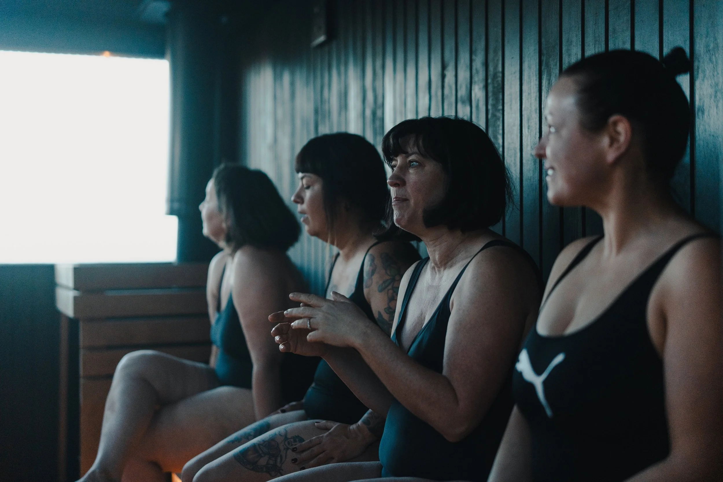 Sauna Greystones