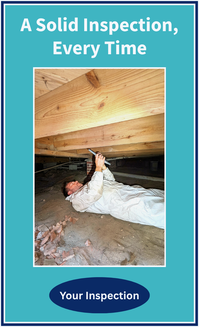 A Solid Inspection, Every Time – Inspector in crawlspace documenting structural components.