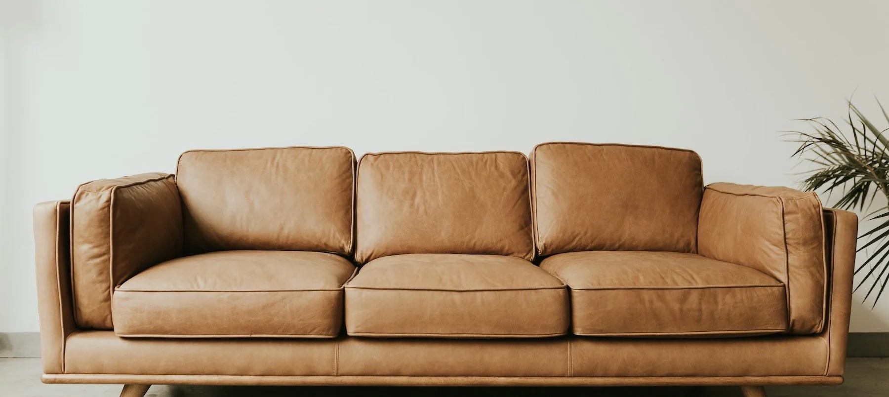 tan leather couch with plant in the background