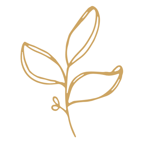 Line drawing of a small plant with leaves and a tiny bud.