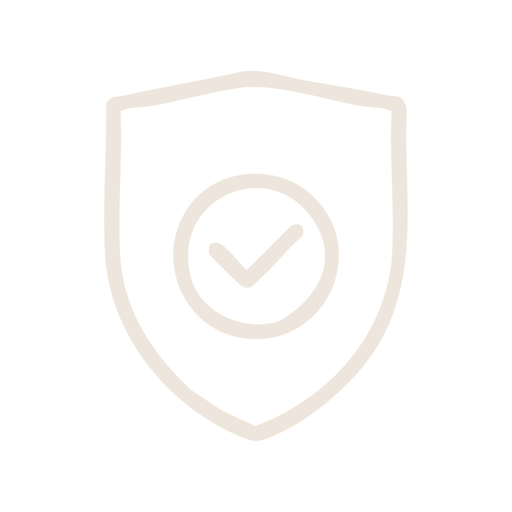 Icon of a badge with a check mark inside it, representing a verified or approved photo.