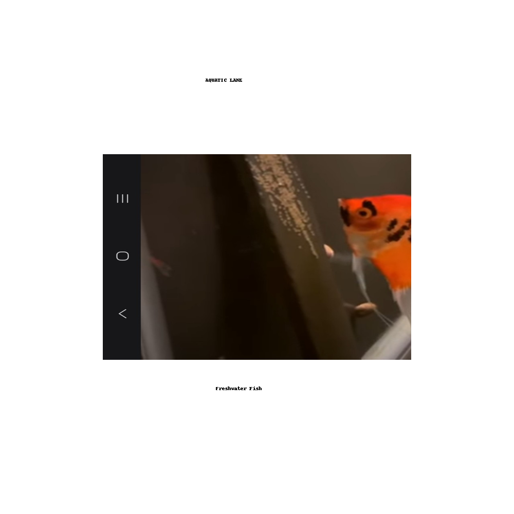 Red Devels on eggs.png