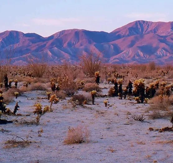 Anza Borrego