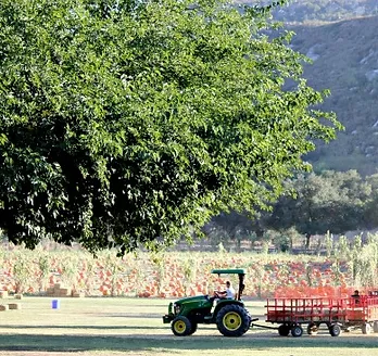 Bates Nut Farm