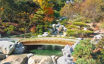 Japanese Friendship Garden