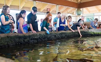 Living Coast Discovery Center