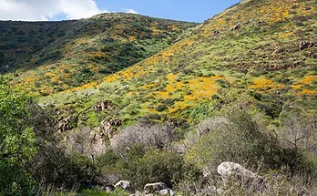 Mission Trails Park