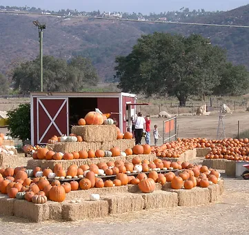 Oma's Family Farm
