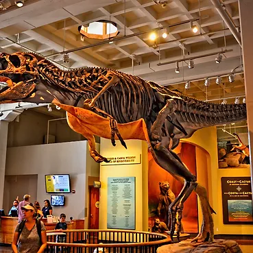 San Diego Natural History Museum