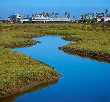 Tijuana Estuary