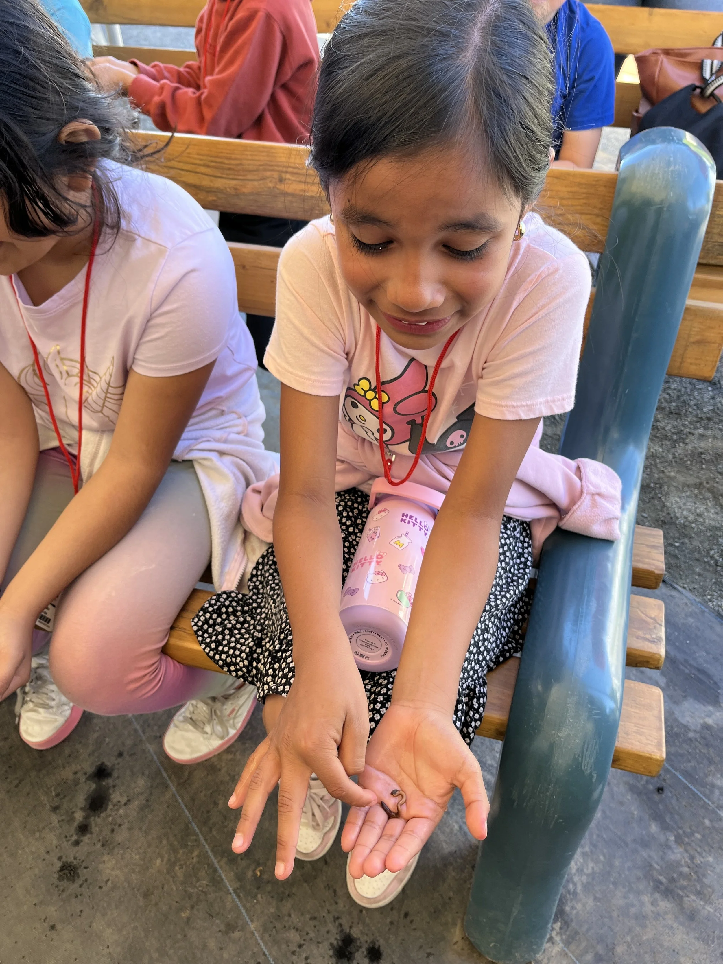 Students learning about seeds.