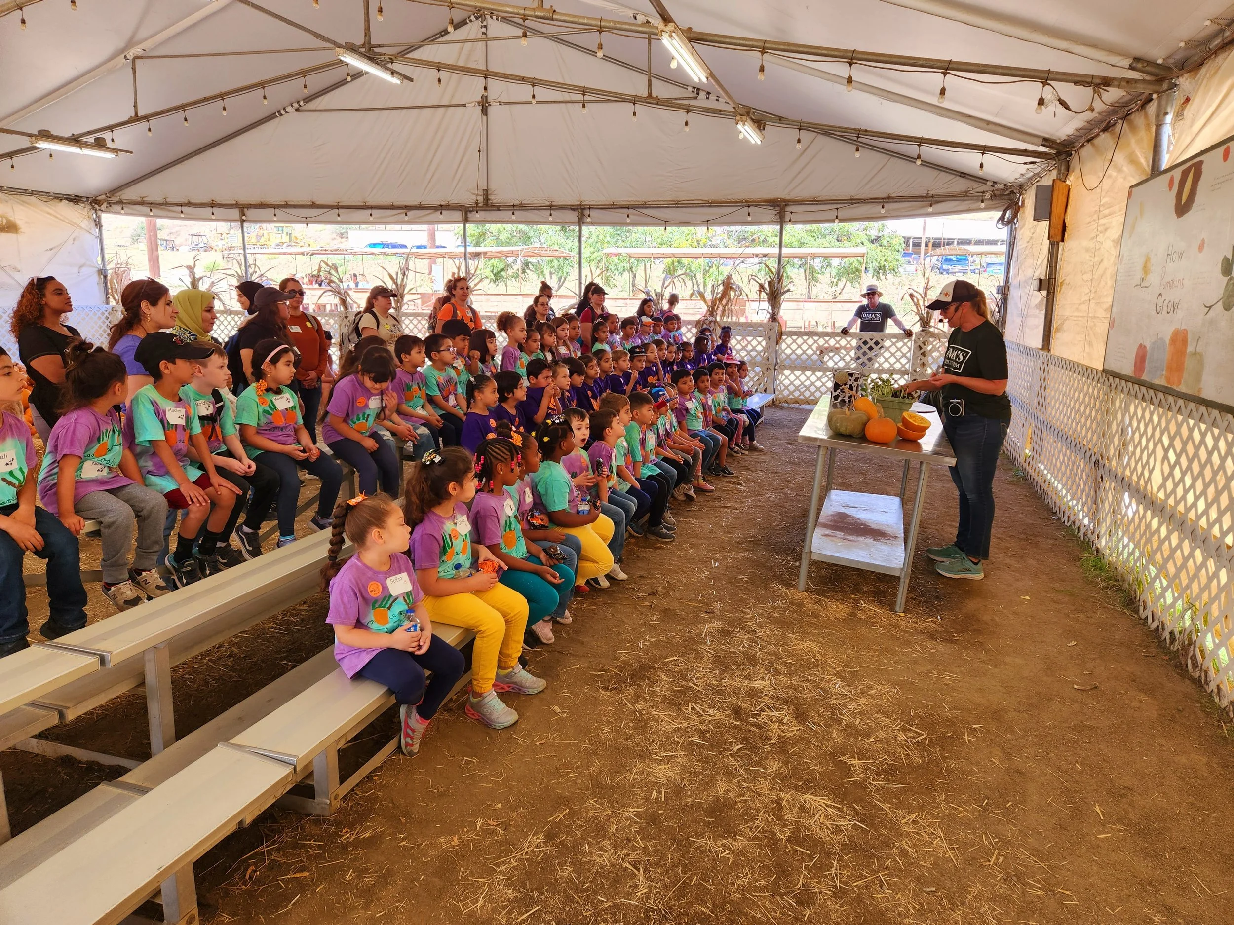  Fun and Learning at Oma’s Family Farm&nbsp;