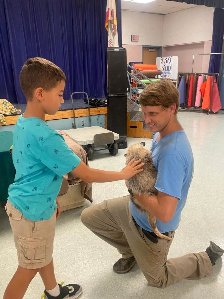Fur, Fangs &amp; Fun! Third Graders Go Wild!