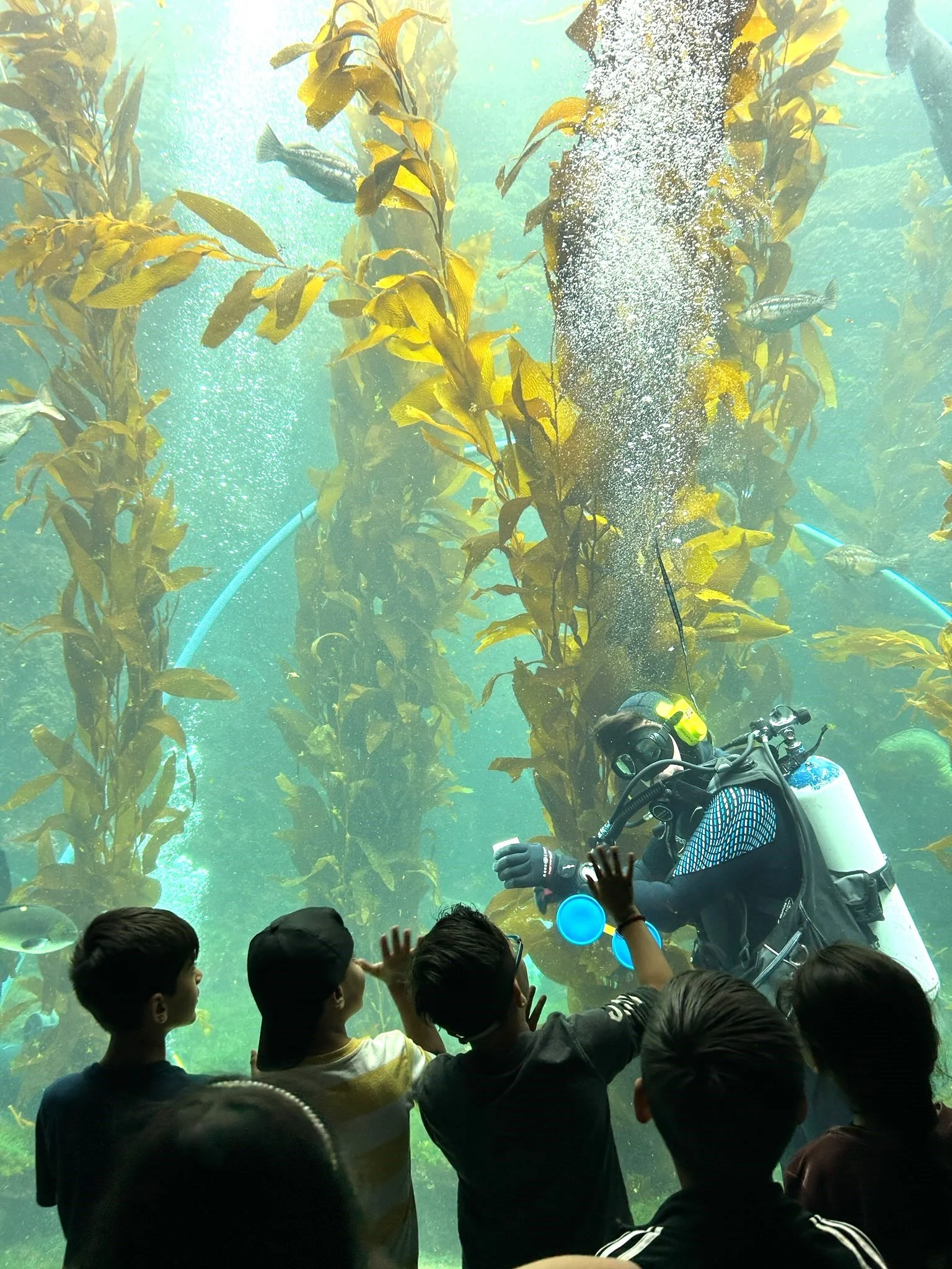 &nbsp;ArtsBusXpress believes field trip study complements and brings life lessons learned in the classroom to life.
