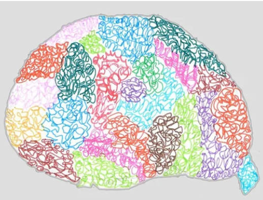 colorful artwork of brain