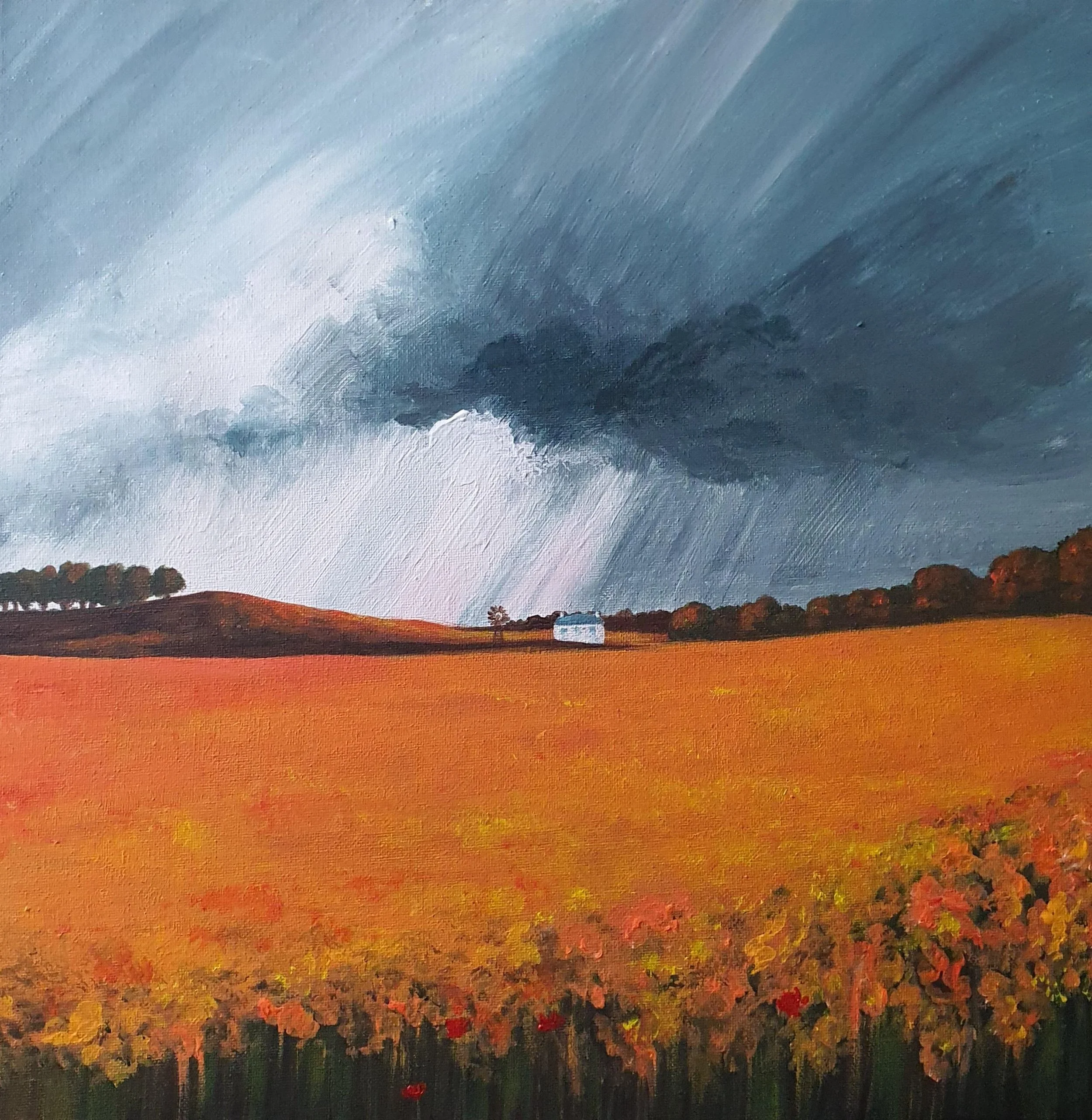 Acrylic on coton canvas 40x40cm