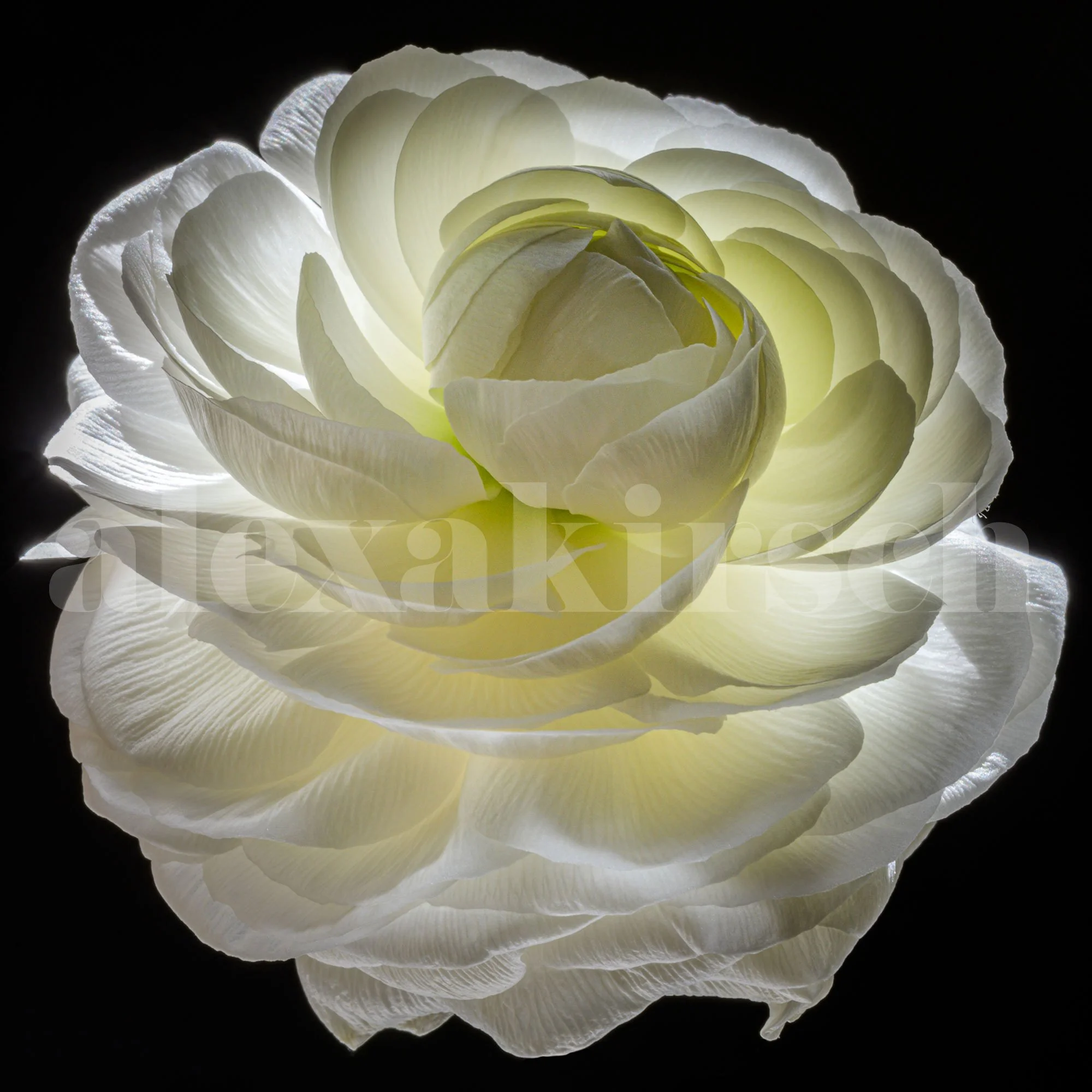 layers-glowing-No3-web-©.jpg