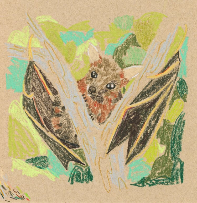 Drawing of a bat hanging upside down on a tree branch with a kitten's face, surrounded by colorful leaves.