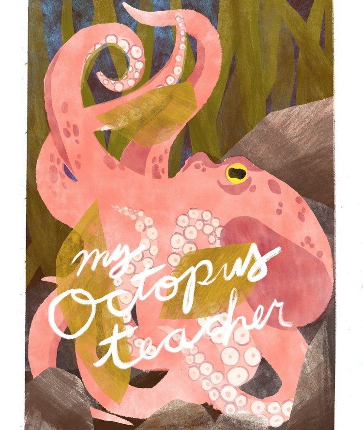 A pink octopus with yellow eyes surrounded by green leaves and dark background, with the phrase "my octopus teacher" written in white cursive text.