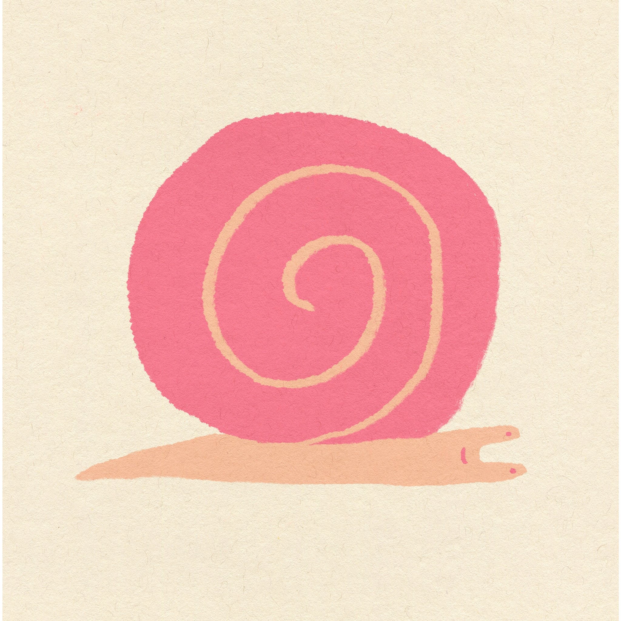 A salmon pink circular object with concentric rings, resting on a brownish-orange base on textured beige paper.