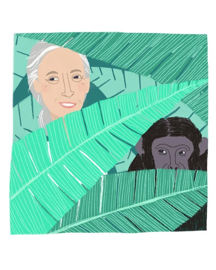 Illustration of a smiling woman with gray hair and a chimpanzee peeking out from behind large green leaves.