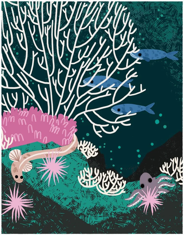 Underwater scene with coral, fish, a small squid, and sea anemones.