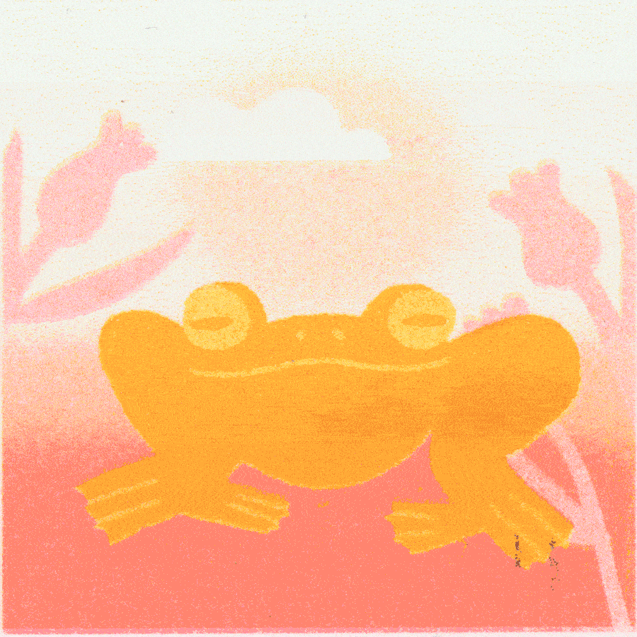 A cute orange cartoon frog with big eyes, set against a pink background with floral elements and a white cloud in the sky.