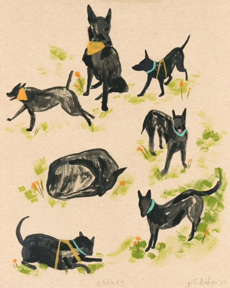 Illustration of seven black dogs with yellow or blue collars in a grassy field with small orange flowers, some standing, one sleeping, and one sitting.