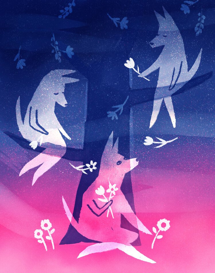 Illustration of two wolves, one white and one pink, surrounded by flowers and leaves against a starry night sky with shades of blue and pink.