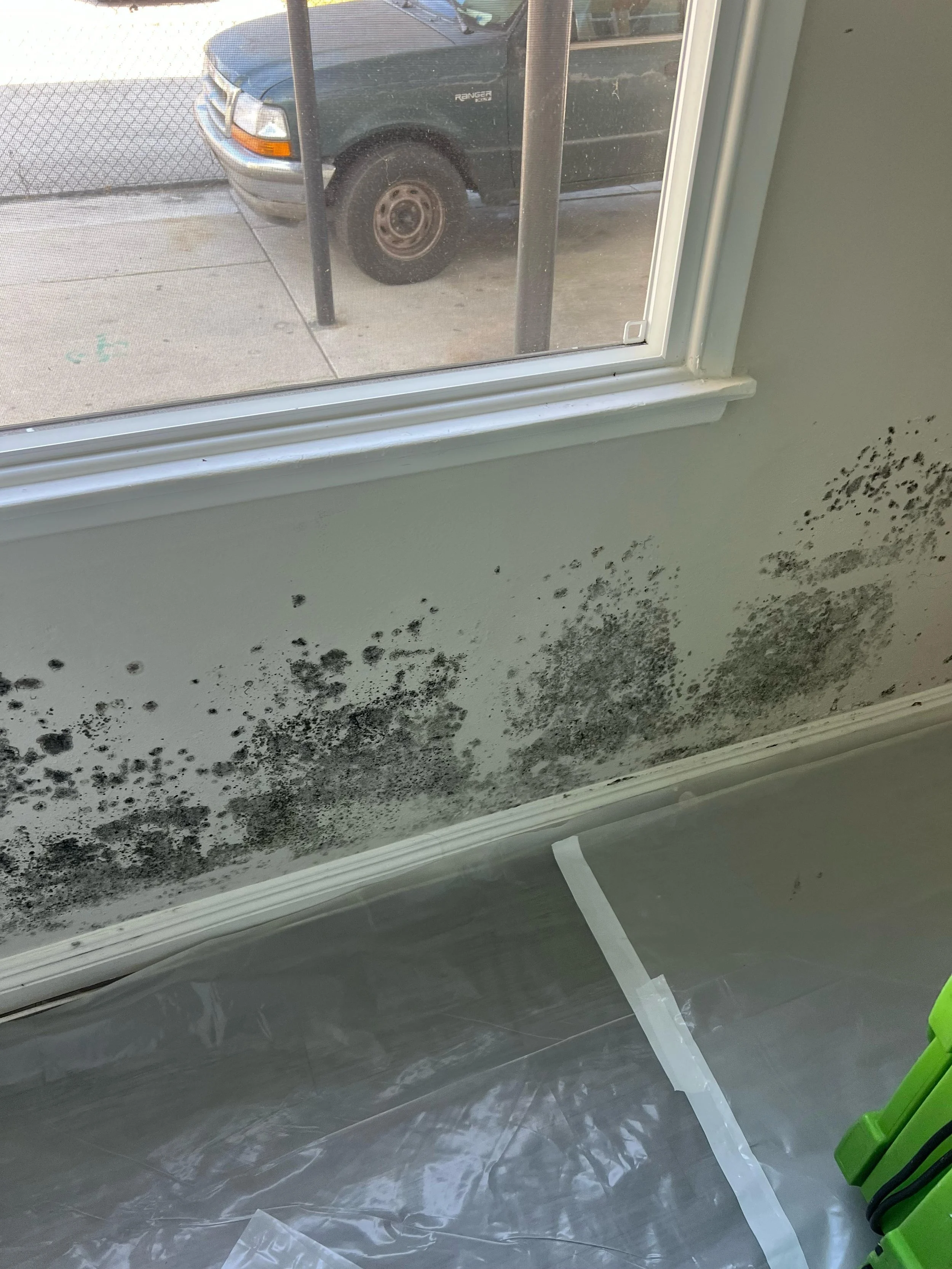 Mold growing on the bottom part of a wall and glass door inside a building, with part of a green machine visible in the foreground.