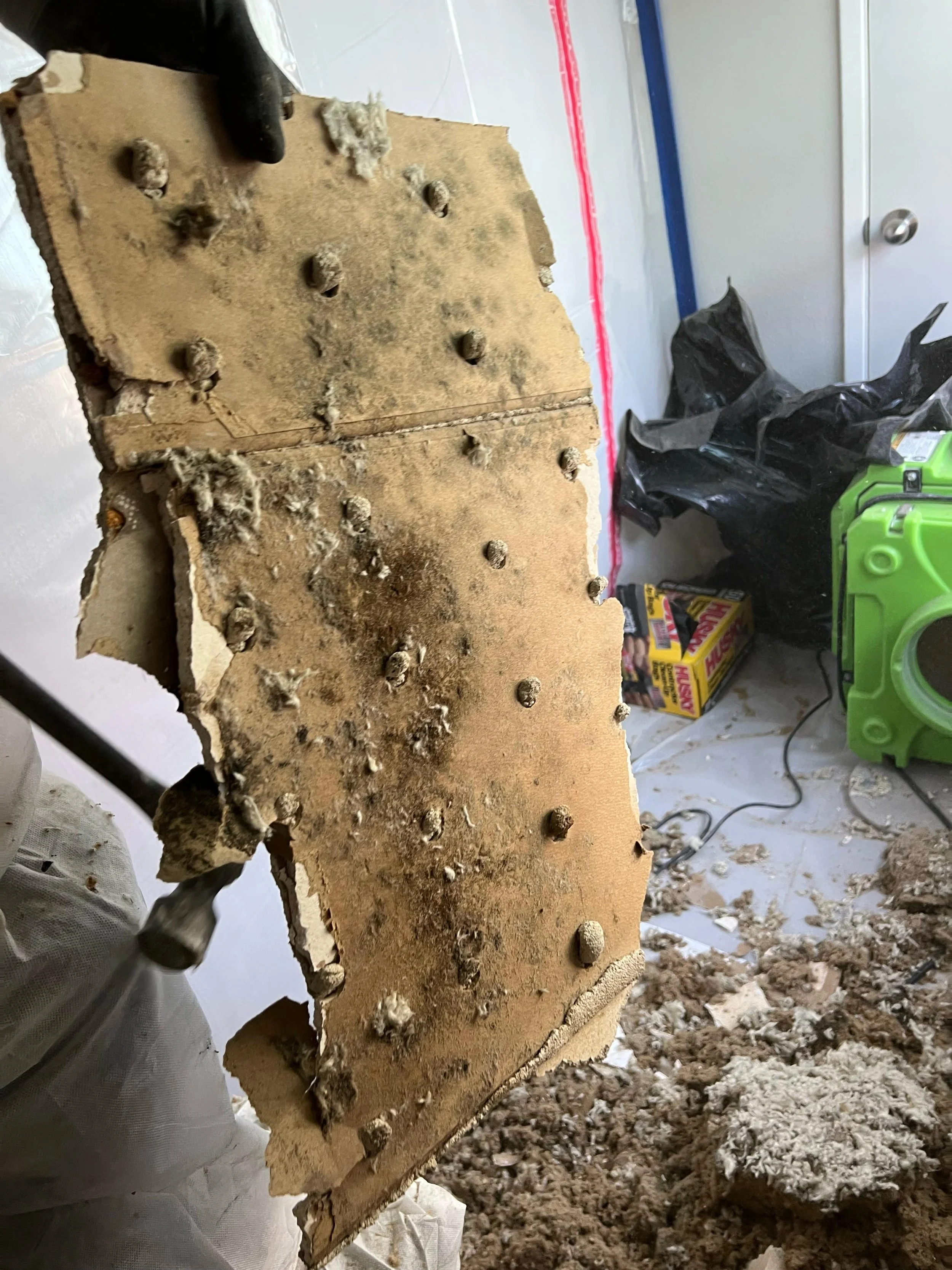 A broken piece of drywall with exposed screw holes and insulation inside. The room has a plastic sheet on the floor, black trash bags, and tools in the background.