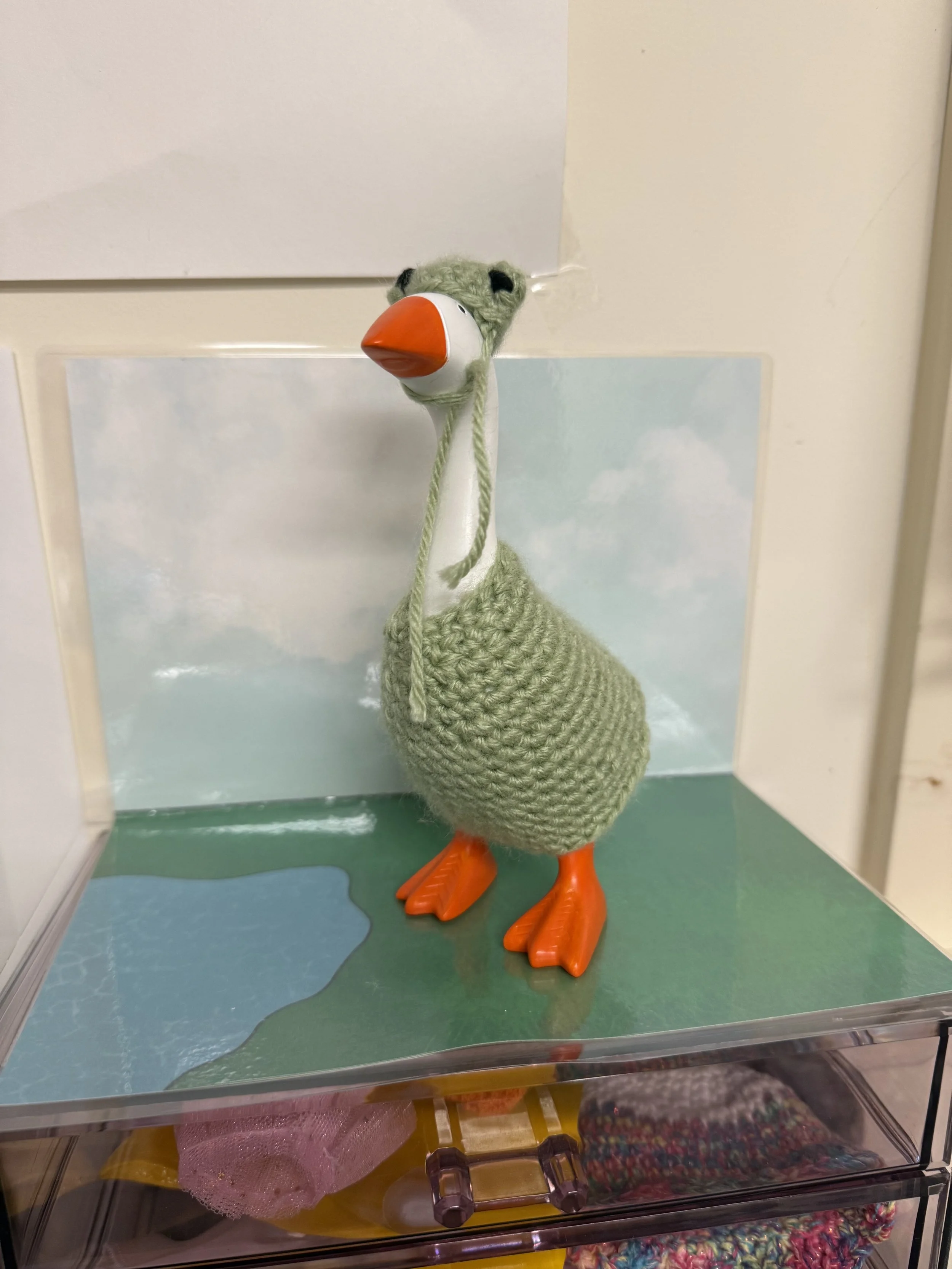 IMG_3698.jpeg