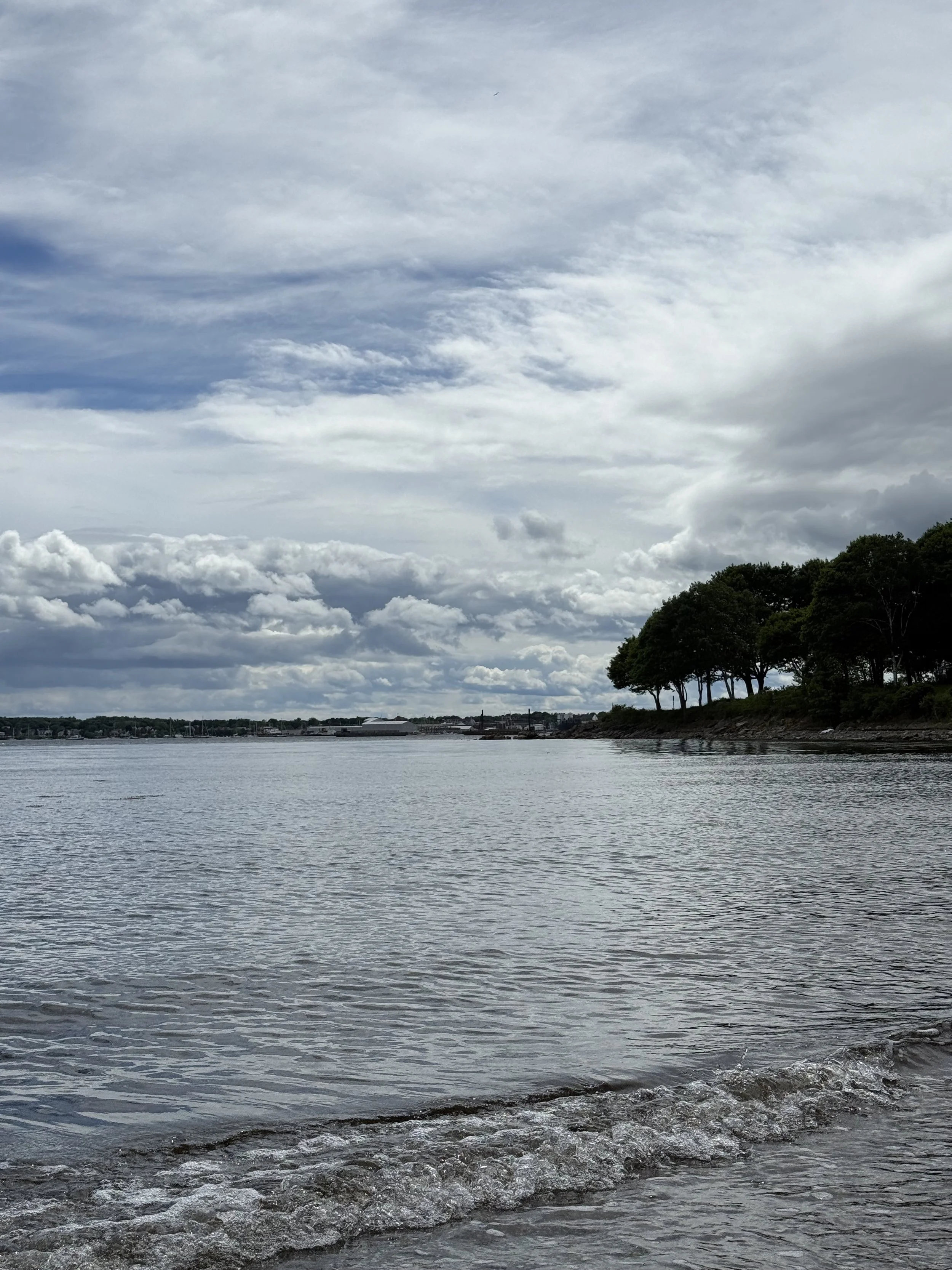 IMG_2540.jpeg