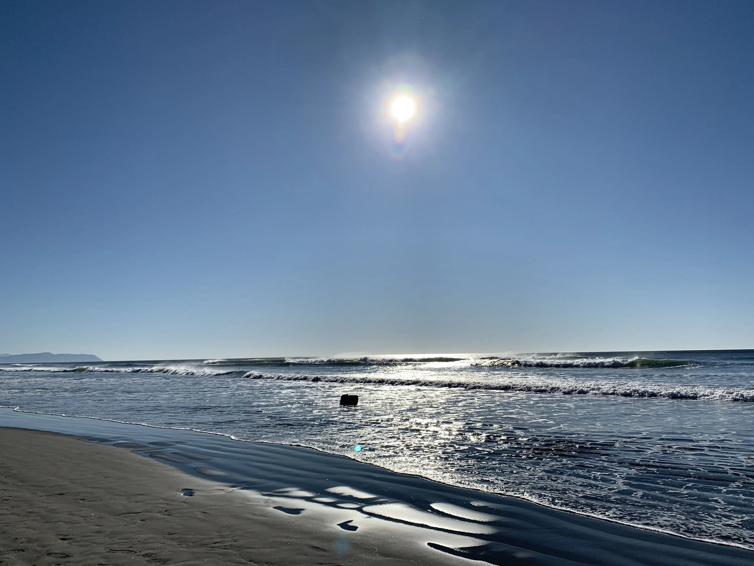 IMG_1679.jpeg