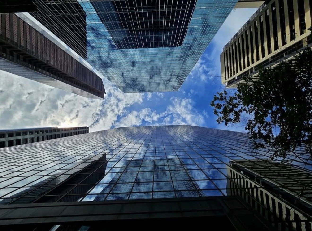Looking up at tall, modern glass skyscrapers with reflections of clouds and blue sky, and a tree on the right side.