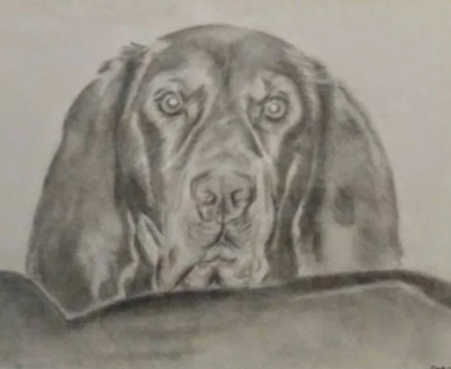 1000032182.jpg
