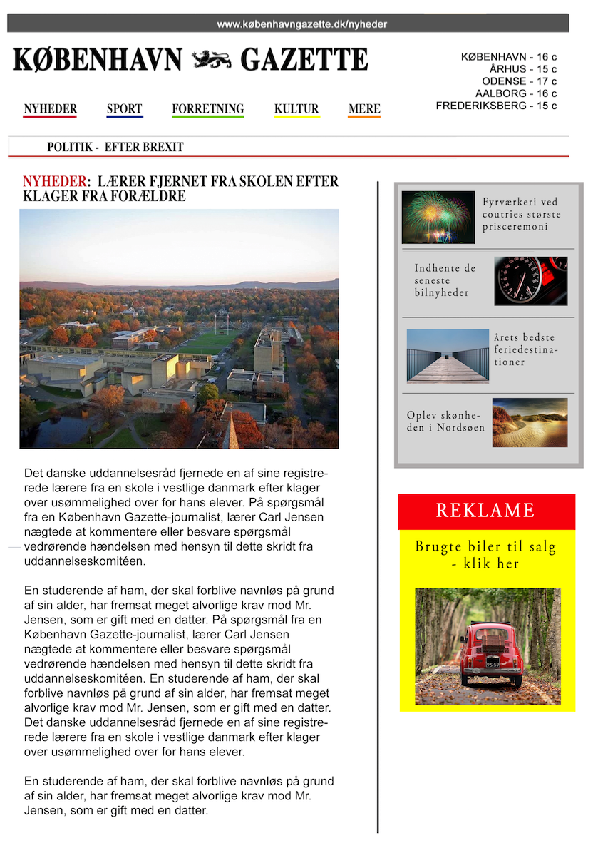 Danish online newspaper paper