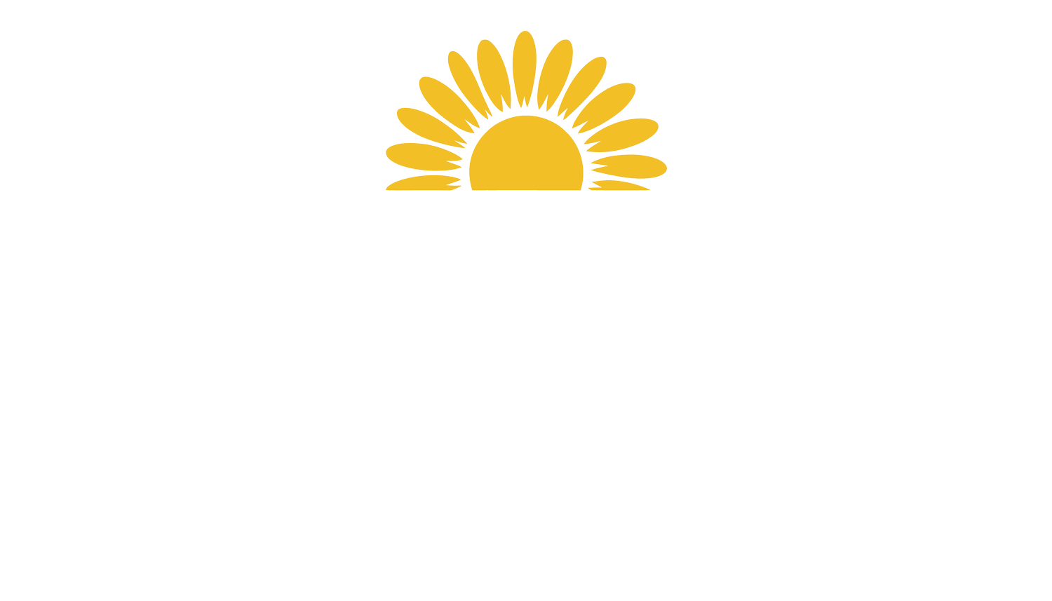 Melanie McMillan for State House