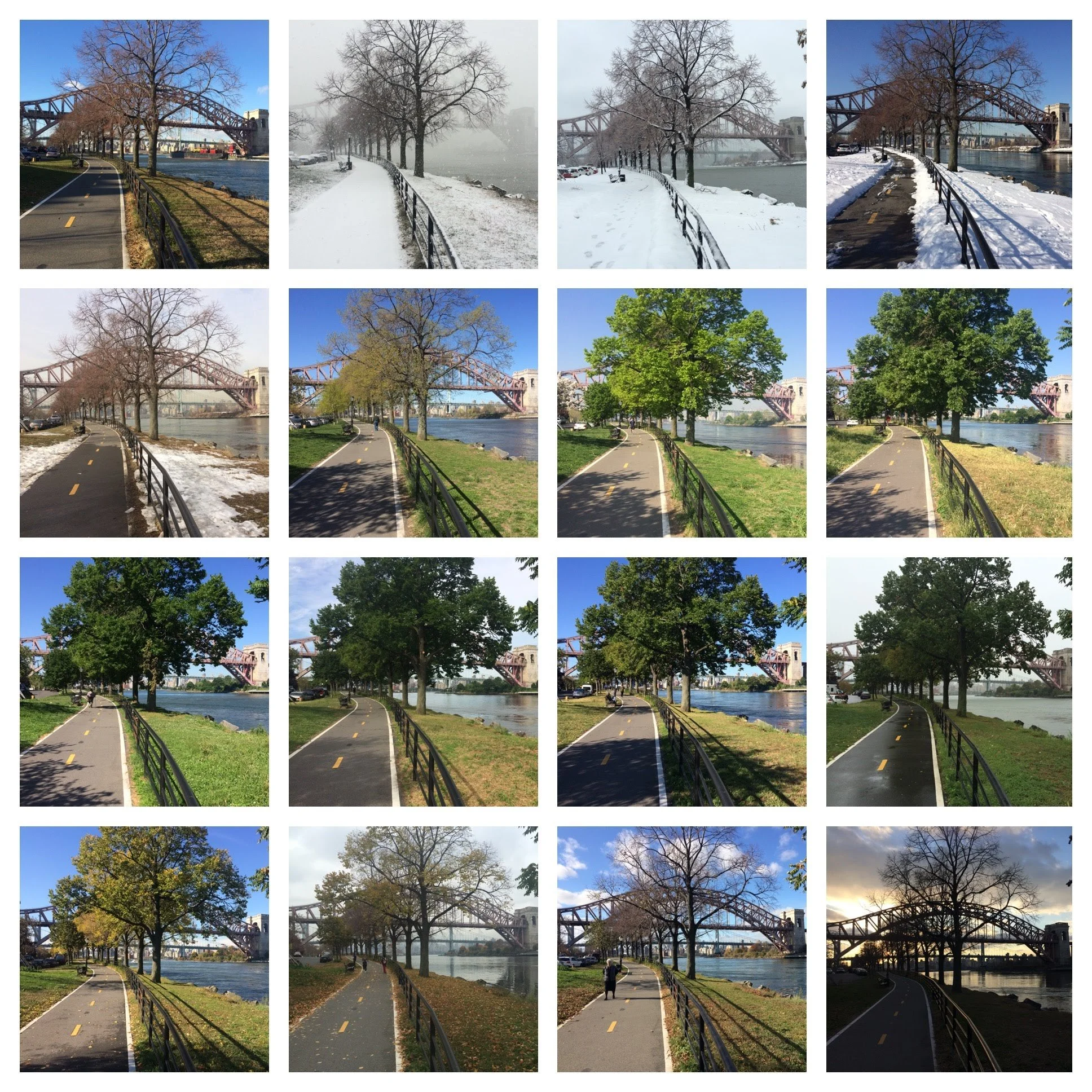 A collage of images showing a lakeside park with trees lining a paved walking and biking path, under a bridge, transitioning from winter with snow to spring with lush green foliage.