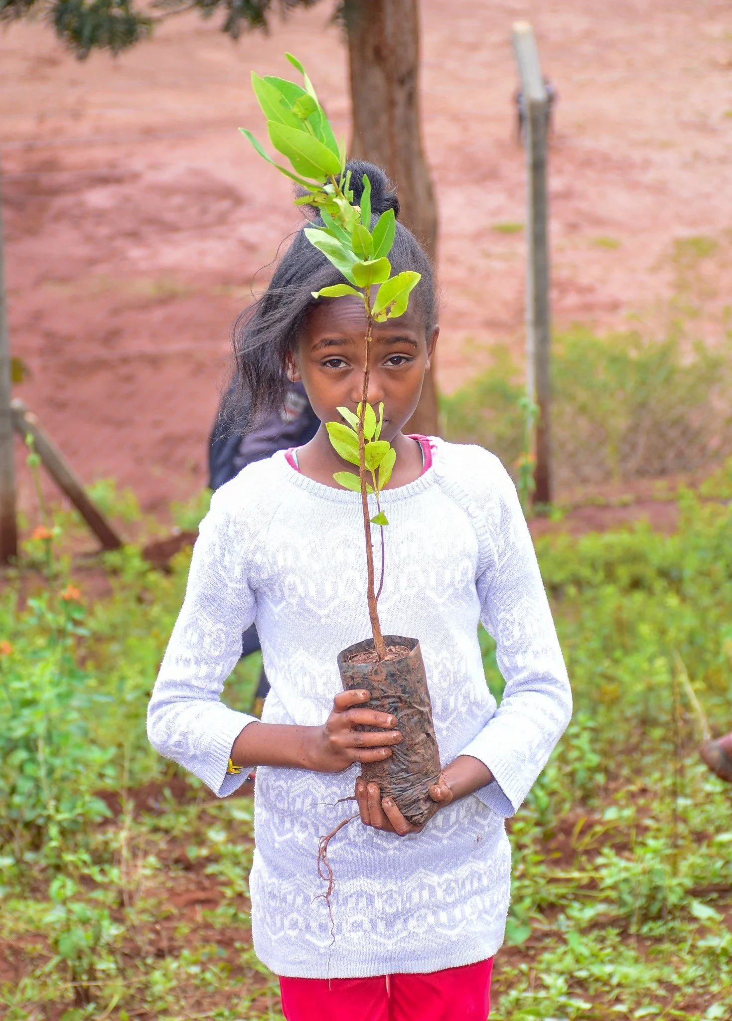 Tree_Planting_E2_4.jpg