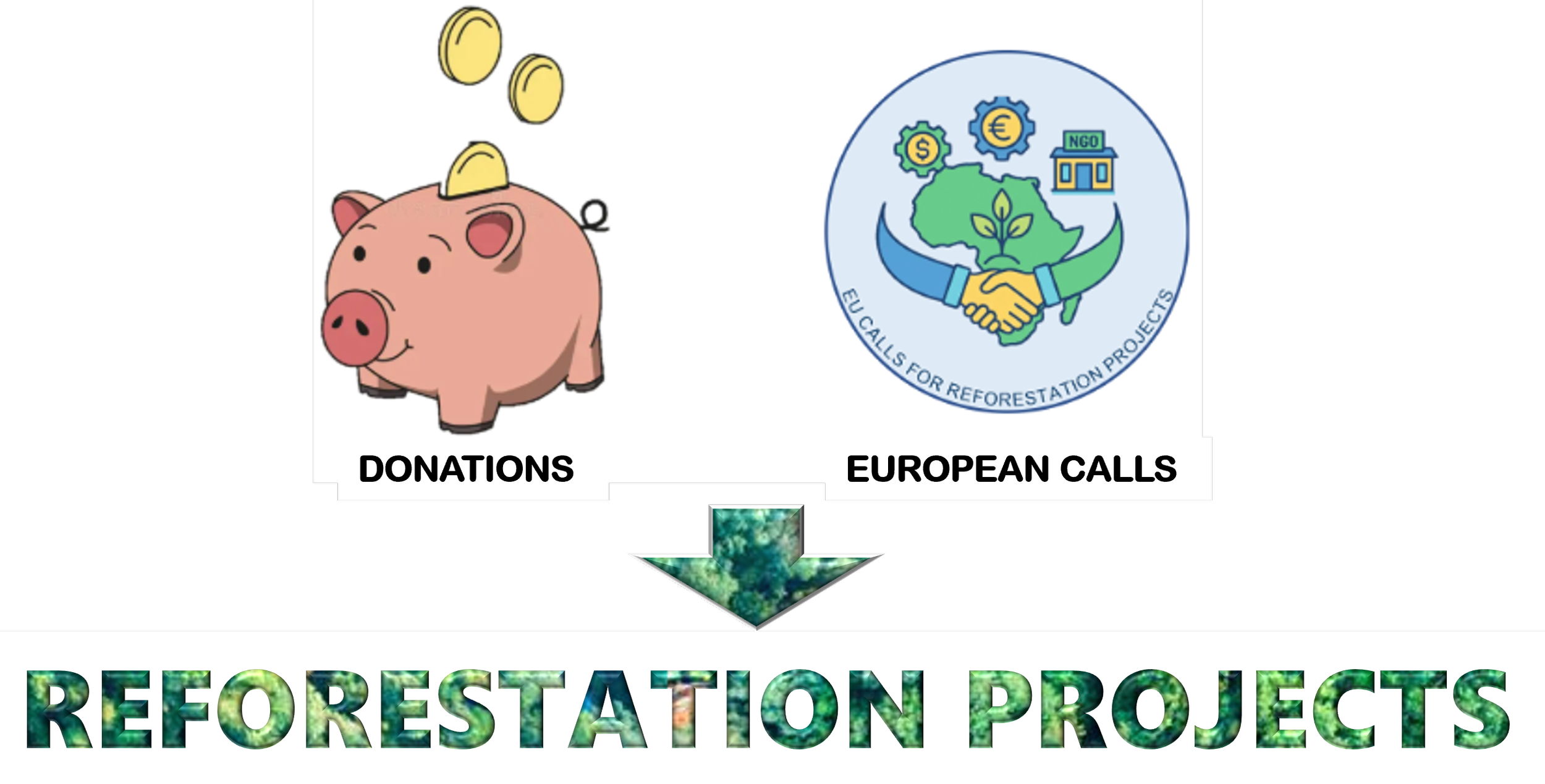 An infographic depicting donations represented by a cartoon piggy bank with coins dropping into it on the left, and a logo symbolizing European community efforts for reforestation projects on the right.