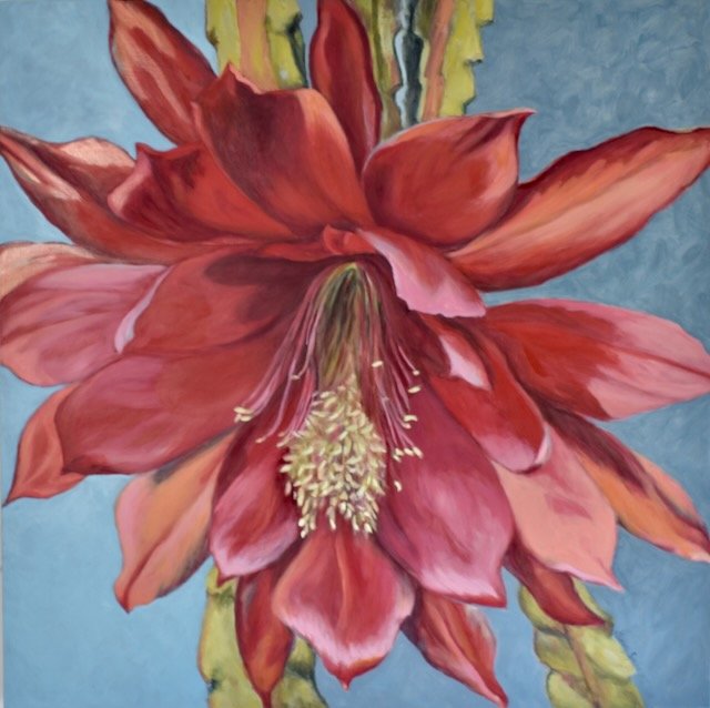 Spectacle 30" x 30"
