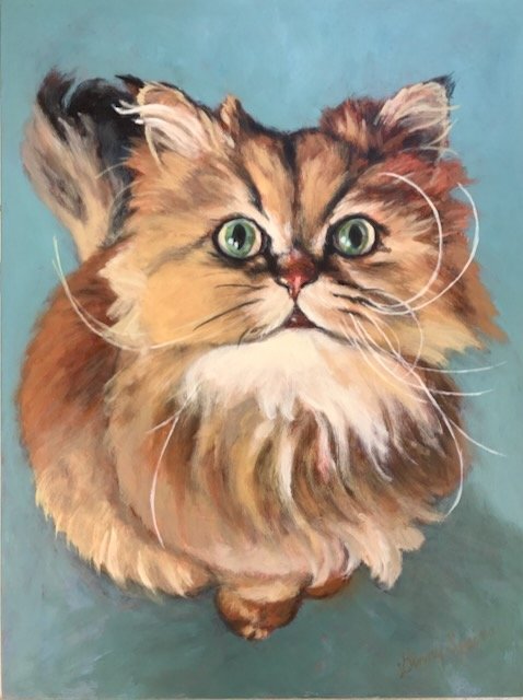 Headshot of a Cat