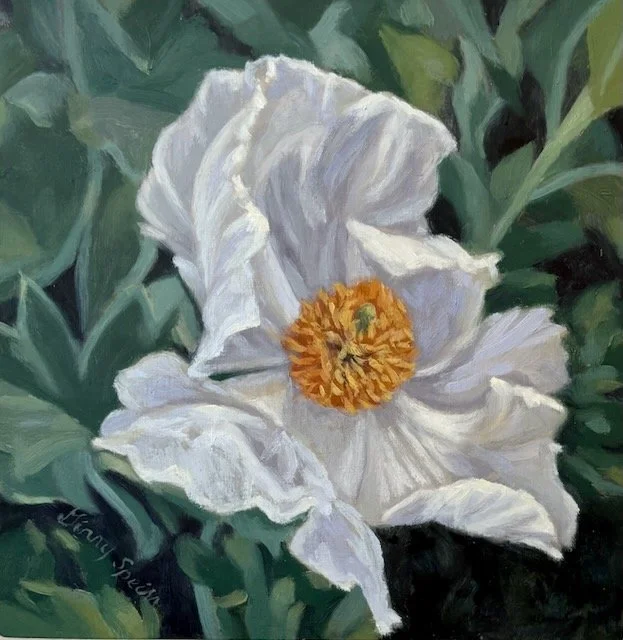 Miss Matilija 8" x 8"