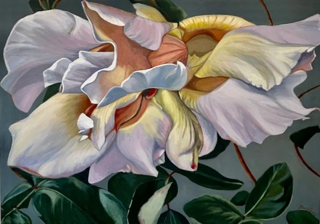 Delicate 28" x 40"