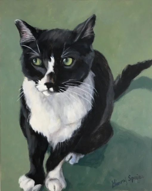 Black Cat
